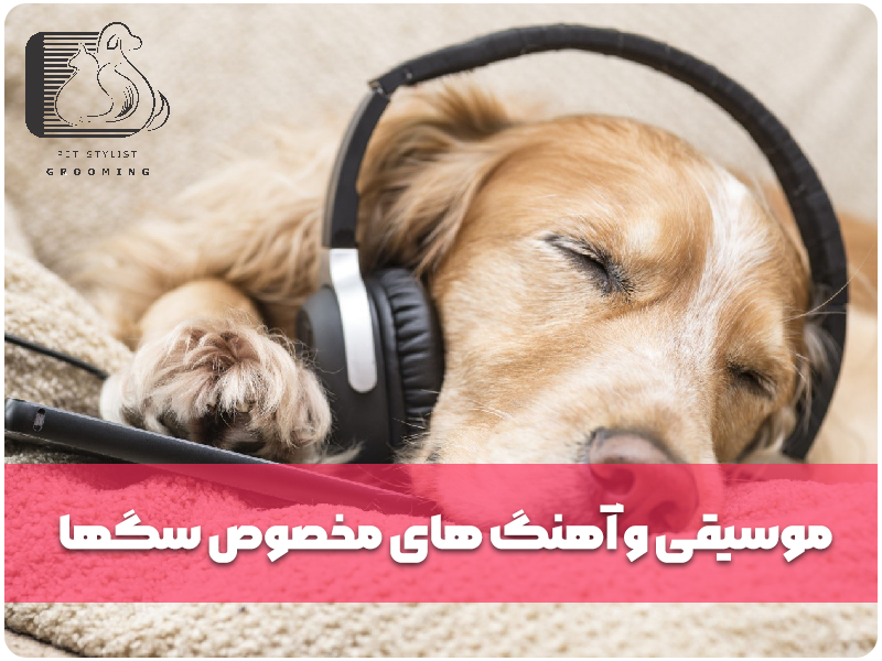 موسیقی و آهنگ های مخصوص سگها